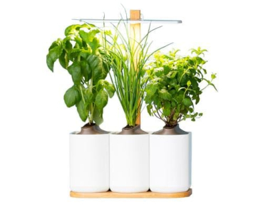 Divers PAP-LILOC-BMC-UE