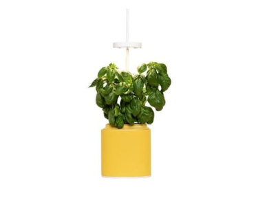 Divers PAP-N-JAU-BGV-UE