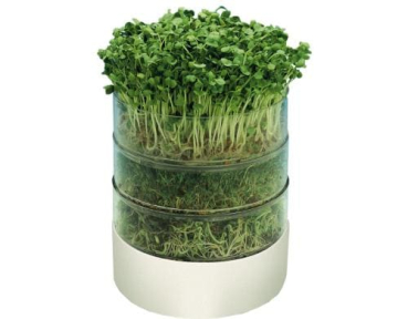 Samen Mauser 10760106