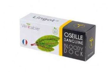 Divers VLIN-J10-Ose03F