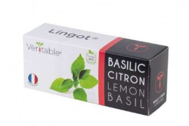 Divers VLIN-O10-Bas010