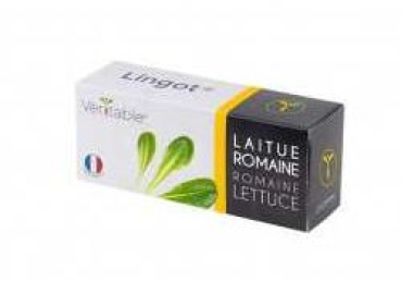 Divers VLIN-J10-Lai050