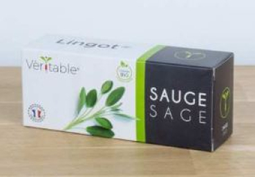 Divers VLIN-A10-Sau00B