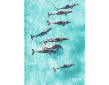 Biella 806544830026U