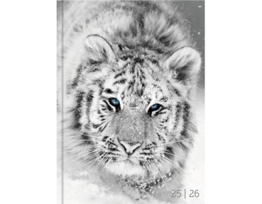 Biella 806544860026U