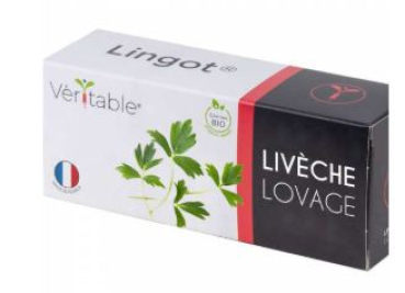 Divers VLIN-O10-Liv049