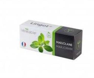 Divers VLIN-A10-Mar03B