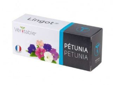 Divers VLIN-F5-Pet02A