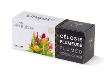 Divers VLIN-D5-Cel066