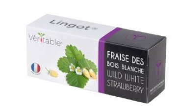 Divers VLIN-P5-Fra039