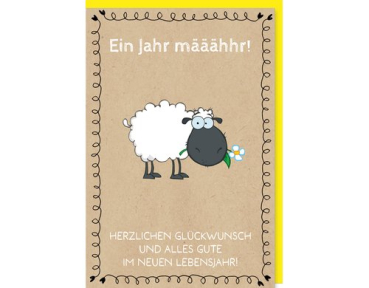 Braun + Company 5000-24095