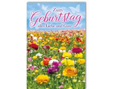 Braun + Company 5004-20176