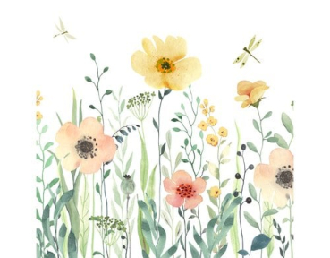 Braun + Company 1211-25000