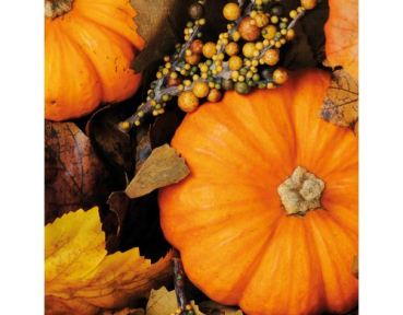 Paper + Design 61-19361200-097