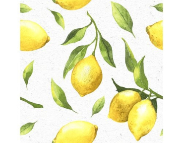 Paper + Design 61-20186700-097