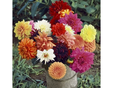 Paper + Design 61-19826200-097