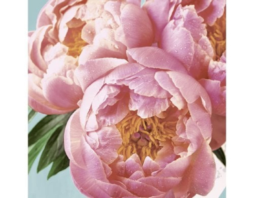 Paper + Design 61-20107300-097