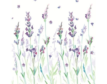 Paper + Design 61-20984100-097