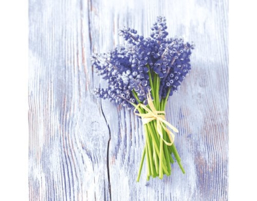 Paper + Design 61-20881500-097