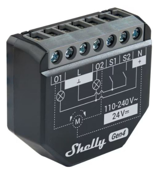 Divers Shelly 2PM Gen4