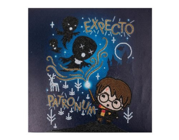 Divers CAK-31HPS601M