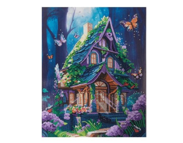 Divers CAK-31GEN249ML