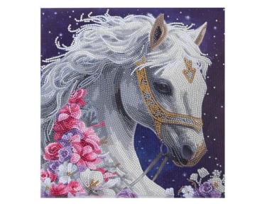 Divers CAK-31GEN252M