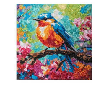 Divers CAK-31GEN250M