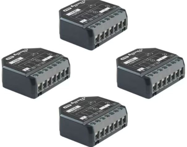 Divers Shelly 2PM Gen4 x4