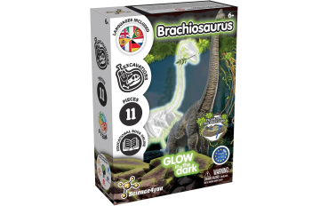 Science4You S4Y-80004450