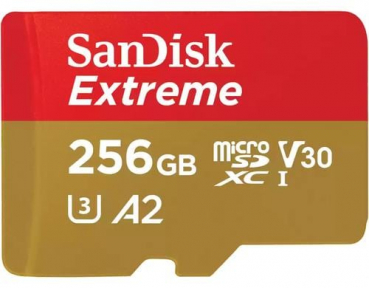 Sandisk SDSQXAV-256G-GN6MA