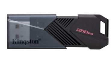 Kingston DTXON/256GB