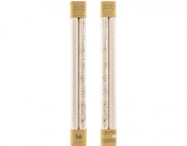 Divers PAPZ3-081-019M