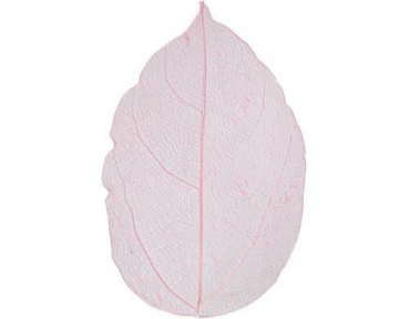 Creativ Company 504496