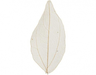 Creativ Company 504493