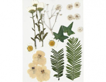 Creativ Company 504473