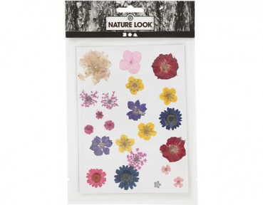 Creativ Company 504475