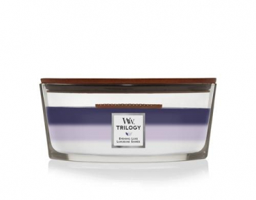 Divers 10.17436.024E