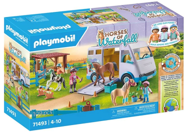 Playmobil 71493