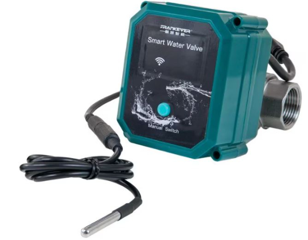 Divers FrankEver Smart water valve DN25