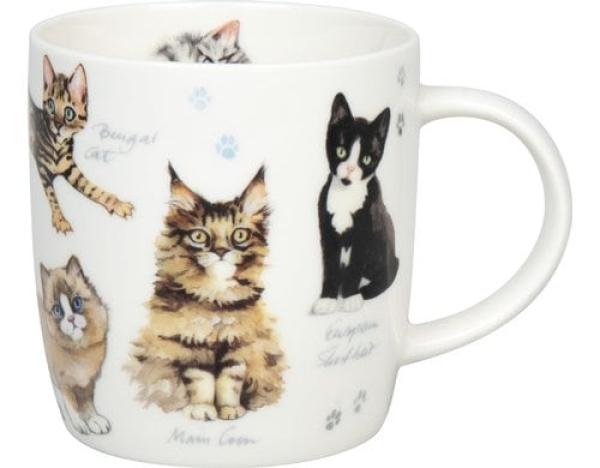 Divers 11 7 275 2866