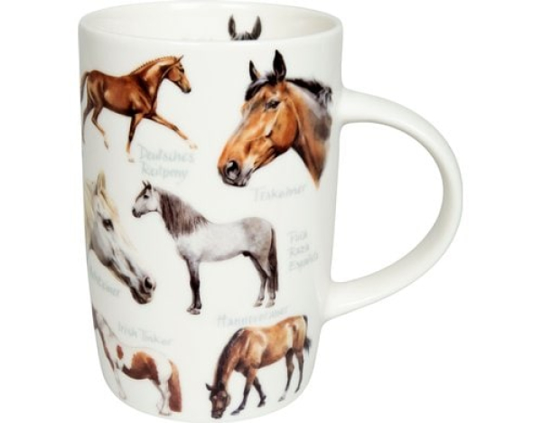 Divers 11 7 269 2710