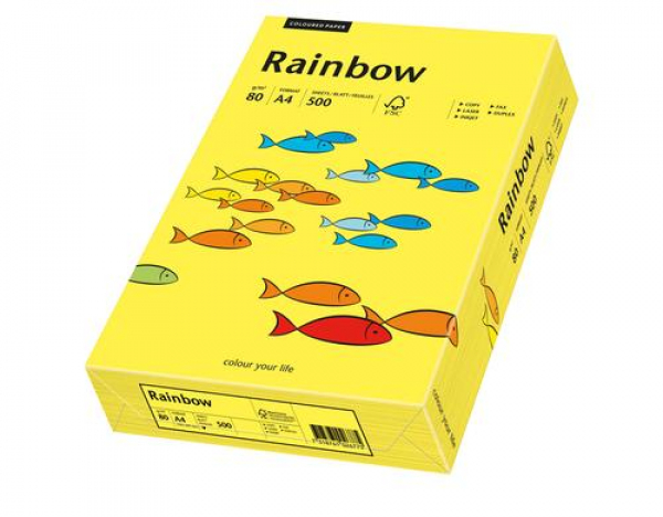 Rainbow 88042320
