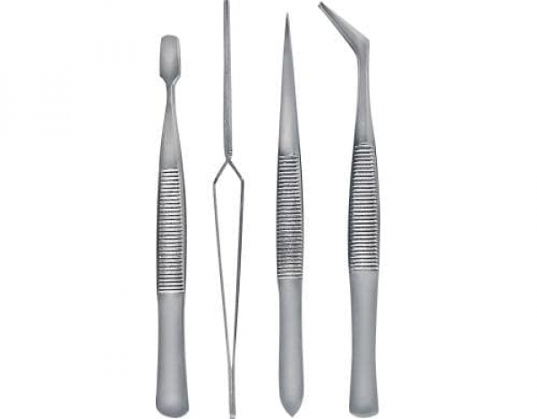 KNORR prandell 218055143