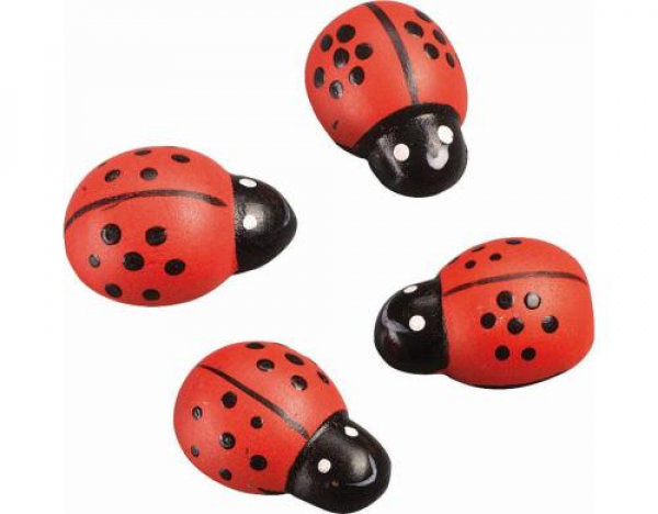 KNORR prandell 218002410