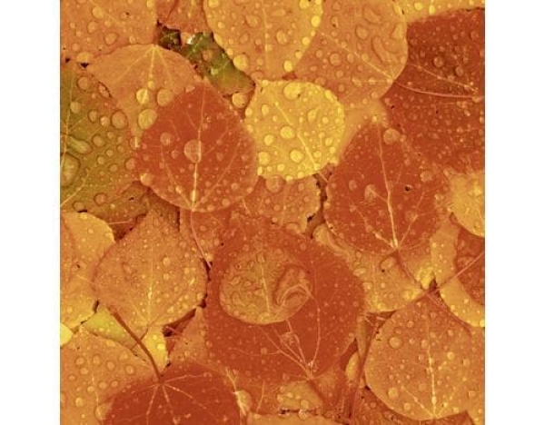 Paper + Design 61-20325900-097